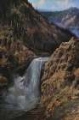 Picture of YELLOWSTONE FALLS 1895