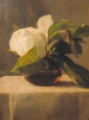 Picture of MAGNOLIA 1860