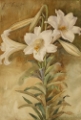 Picture of STILL LIFE OF EASTER LILIES CA 1896