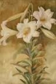 Picture of STILL LIFE OF EASTER LILIES CA 1896