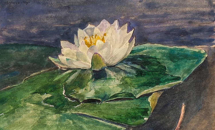 Picture of WATER LILY 1896