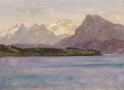 Picture of ALASKAN COAST RANGE CA 1889