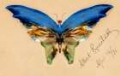 Picture of BLUE BUTTERFLY 1896