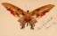 Picture of BUTTERFLY 1896