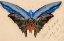 Picture of BUTTERFLY, FOR DELL 1897