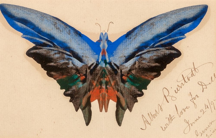 Picture of BUTTERFLY, FOR DELL 1897