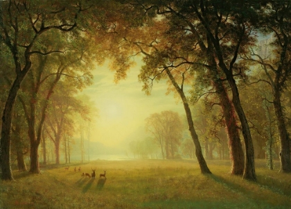 Picture of DEER IN A CLEARING, YOSEMITE