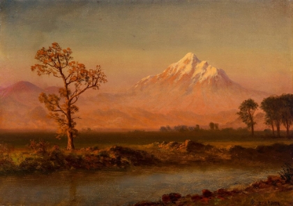 Picture of MOUNT HOOD CA 1880
