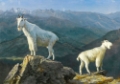 Picture of MOUNTAIN GOATS