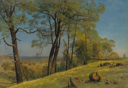 Picture of ROCKLAND COUNTY, CALIFORNIA CA 1872