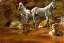 Picture of STUDY OF WILD HORSES