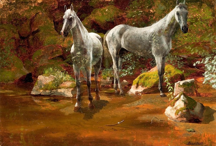 Picture of STUDY OF WILD HORSES