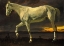 Picture of WHITE HORSE AND SUNSET 1863