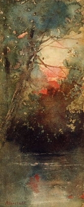 Picture of WOODLAND SUNSET