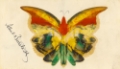Picture of YELLOW BUTTERFLY CA 1890