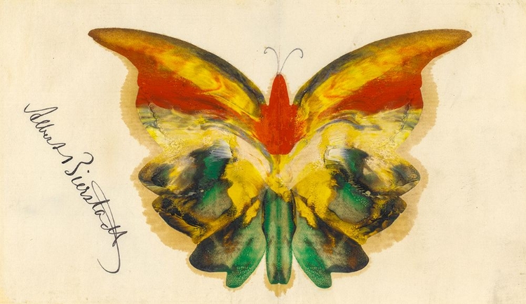 Picture of YELLOW BUTTERFLY CA 1890