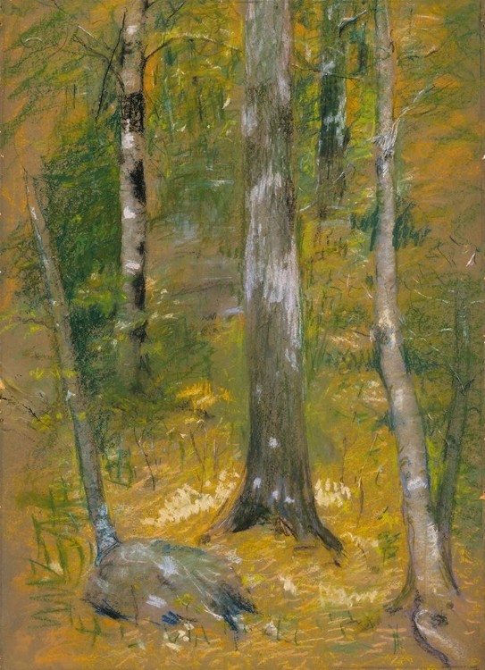 Picture of ONTEORA 1903