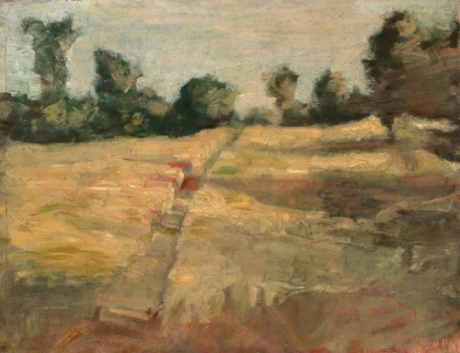 Picture of THE FIELD