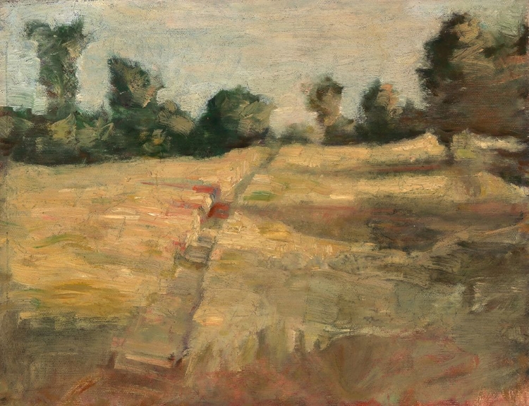 Picture of THE FIELD