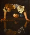 Picture of NARCISSUS CA 1597