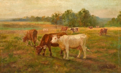 Picture of COWS