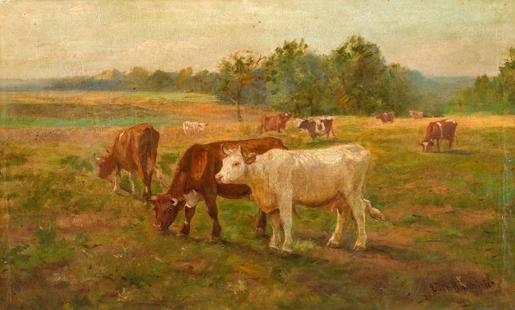 Picture of COWS