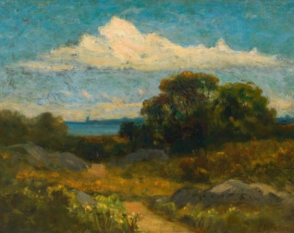 Picture of LANDSCAPE, TREES AND ROCKS BY LAKE