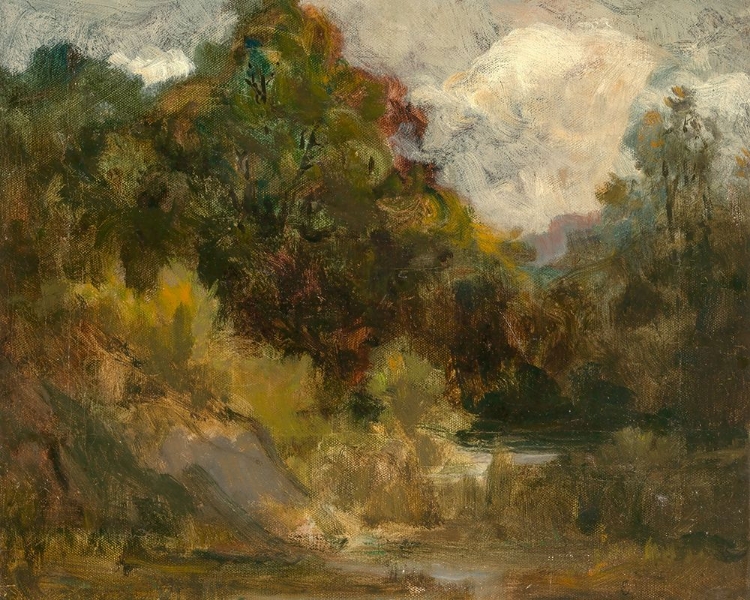 Picture of LANDSCAPE, TREES
