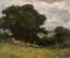 Picture of LANDSCAPE