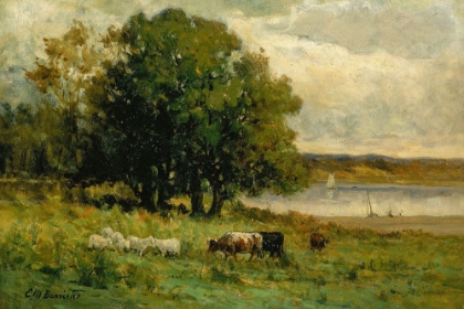 Picture of UNTITLED, CATTLE NEAR RIVER WITH SAILBOAT IN DISTANCE