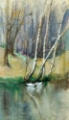 Picture of UNTITLED, WOOD SCENE WITH BIRCH TREES AND DUCKS