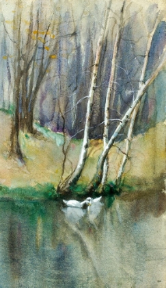 Picture of UNTITLED, WOOD SCENE WITH BIRCH TREES AND DUCKS
