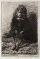 Picture of LITTLE ARTHUR 1858