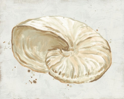 Picture of NEUTRAL SHELL FRESCO I