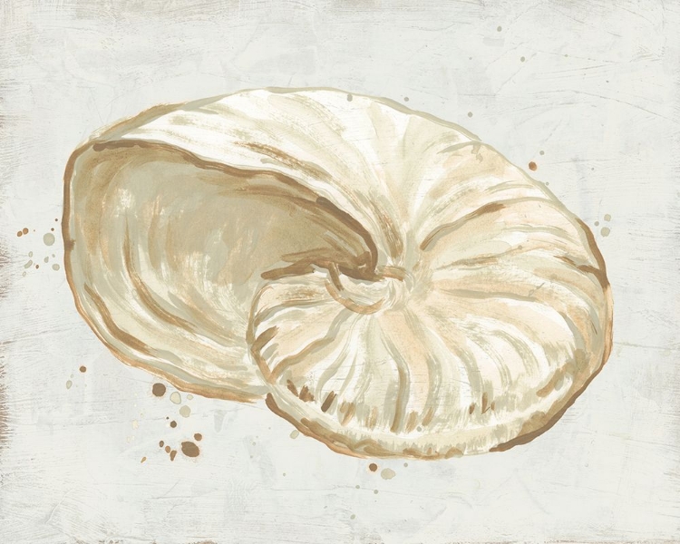 Picture of NEUTRAL SHELL FRESCO I