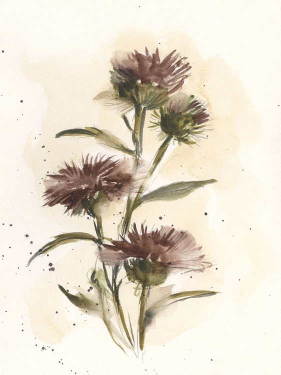 Picture of MILK THISTLE STUDY I