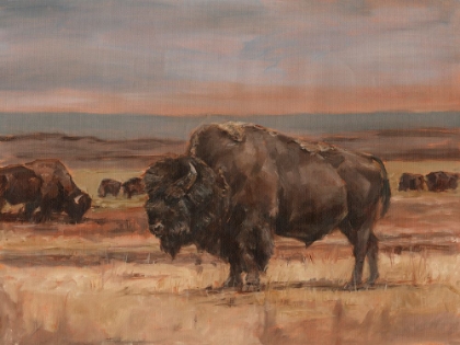 Picture of AMERICAN BUFFALO ON THE PLAINS II