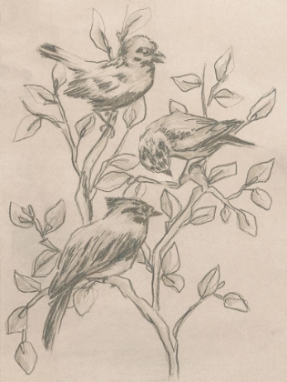 Picture of PARCHMENT FLOCK II