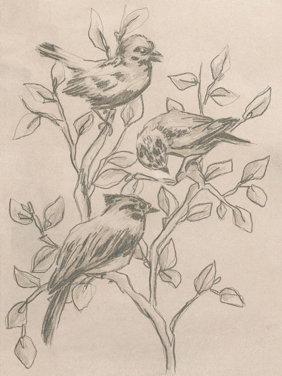 Picture of PARCHMENT FLOCK II