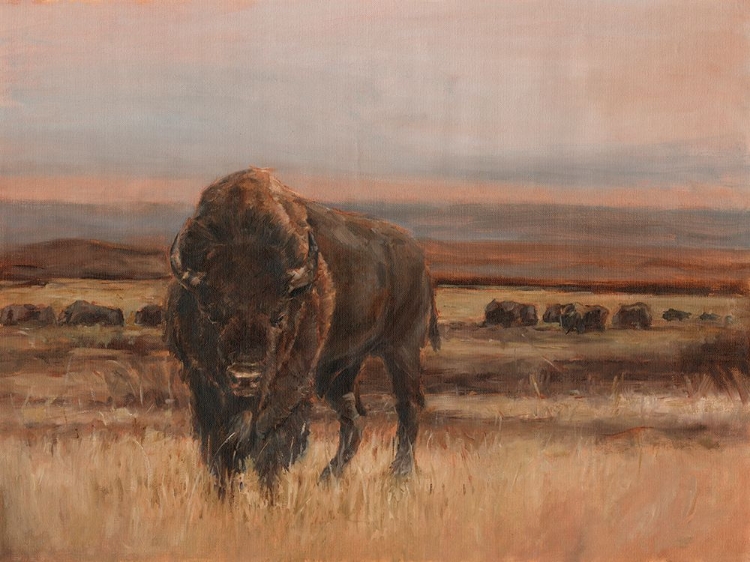 Picture of AMERICAN BUFFALO ON THE PLAINS I