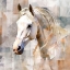 Picture of DREAMER HORSE  V