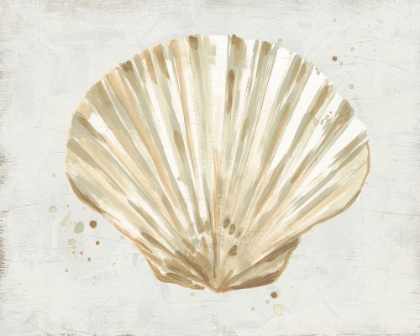 Picture of NEUTRAL SHELL FRESCO IV