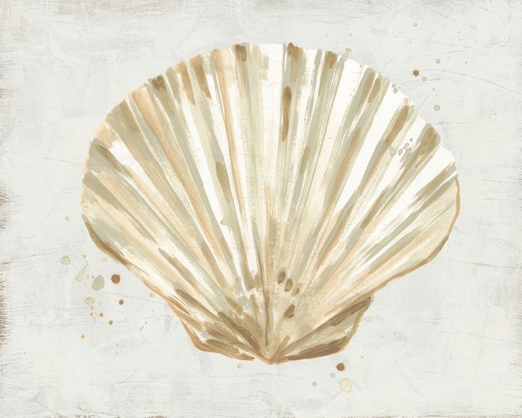 Picture of NEUTRAL SHELL FRESCO IV