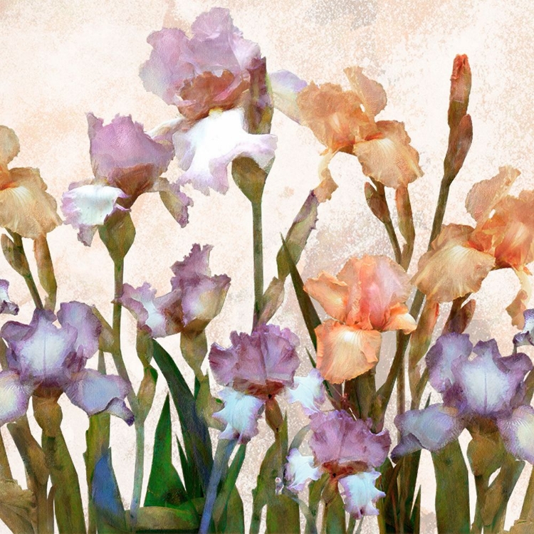 Picture of IRISES PANEL II