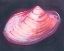 Picture of NEON SHELL I