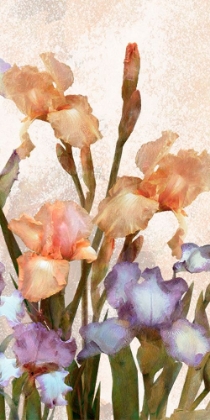 Picture of IRISES PANEL IV