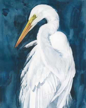 Picture of MIDNIGHT HUNTER II