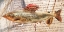 Picture of FISH AND COFFEE II