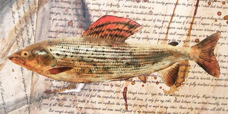 Picture of FISH AND COFFEE II