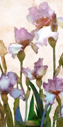 Picture of IRISES PANEL III